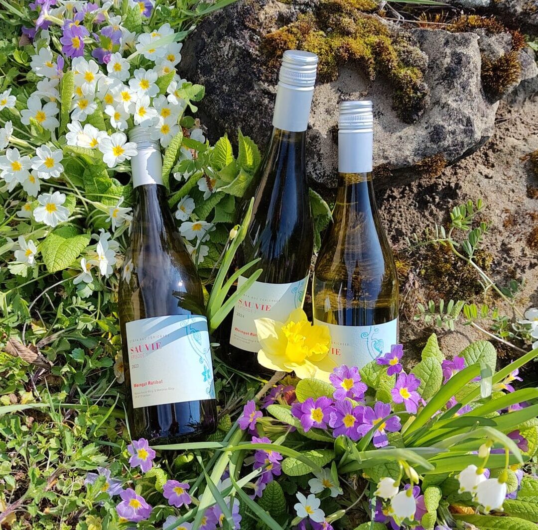 IMG_20260402_105733632_HDR